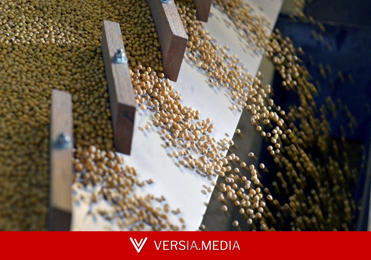 Brasil ganha nova rota para exportar farelo de soja pelo porto de Itaqui