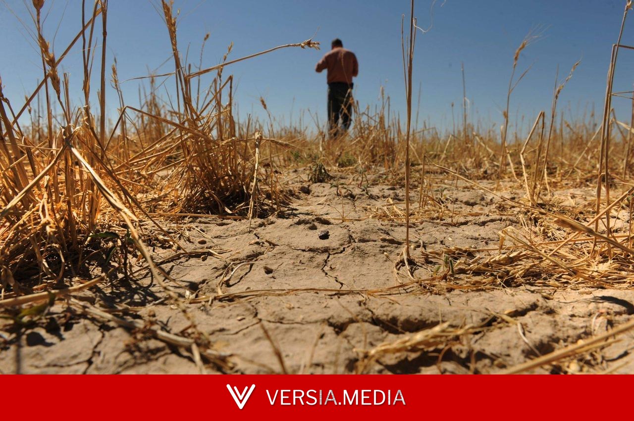 Um dos El Niños mais fortes custou US$ 5,7 trilhões ao mundo, e 2026 pode ser pior