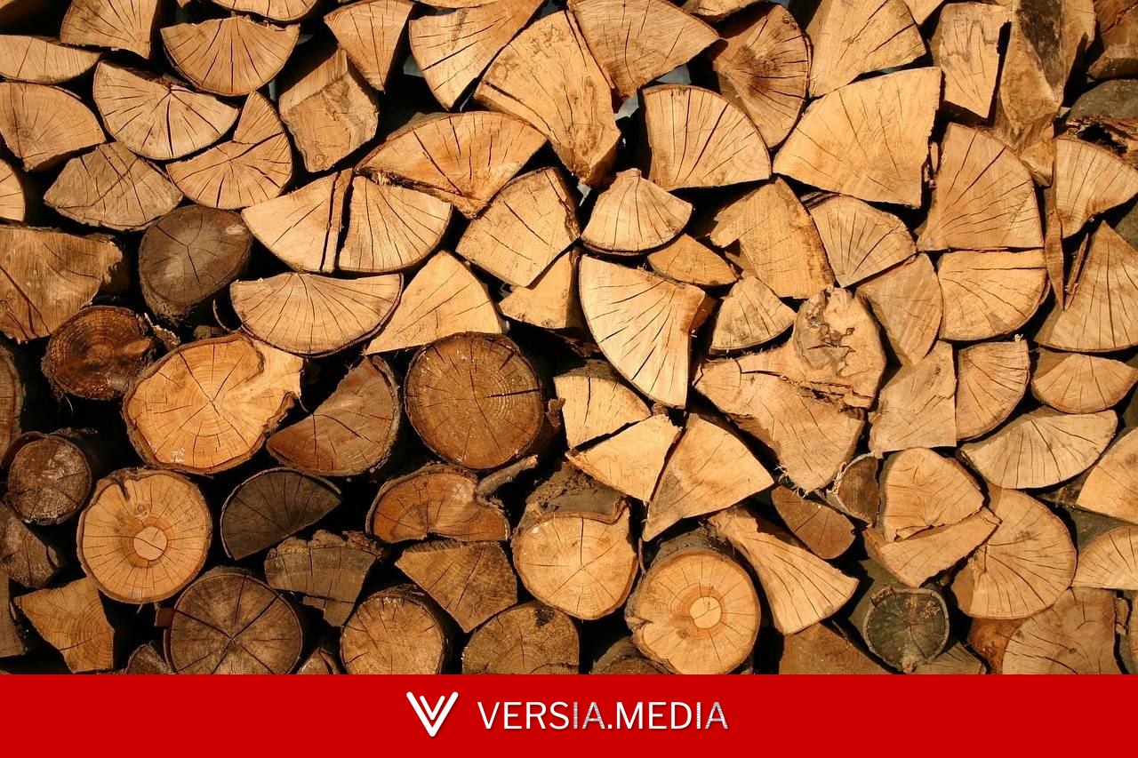 ONG britânica denuncia chegada de madeira irregular da Amazônia à Europa